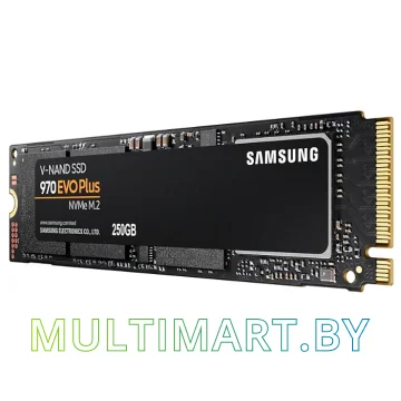 SSD диск Samsung 970 Evo Plus 250GB (MZ-V7S250BW) картинка 2